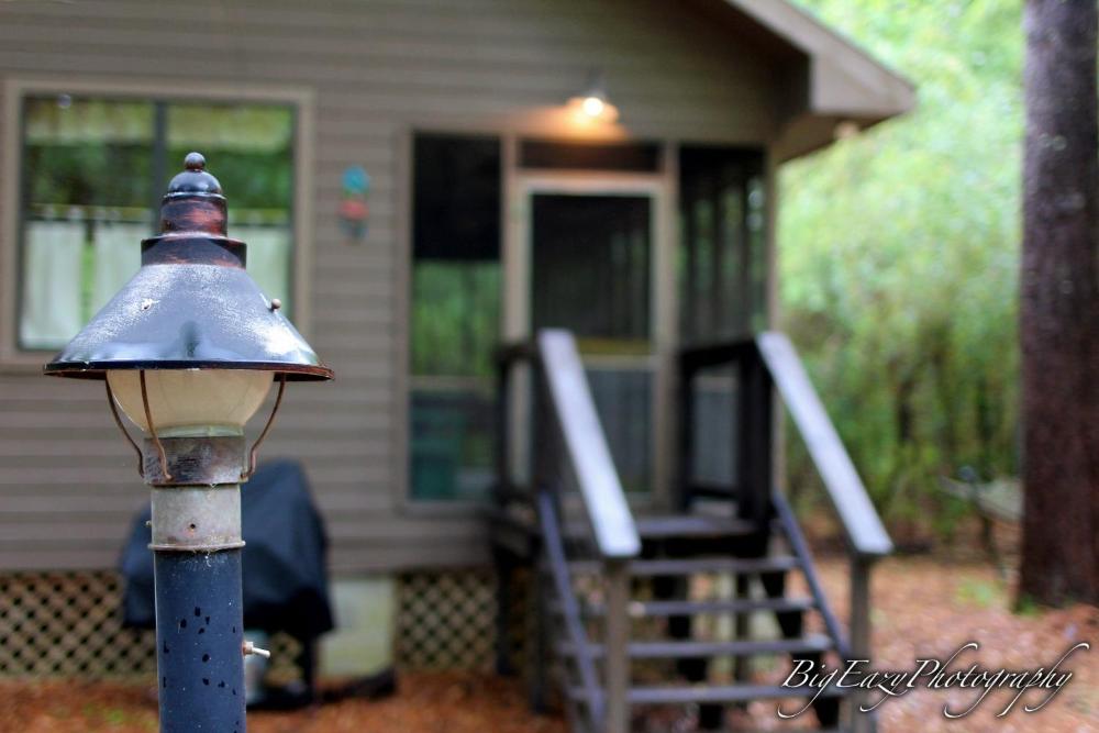 The Meadow Cabin